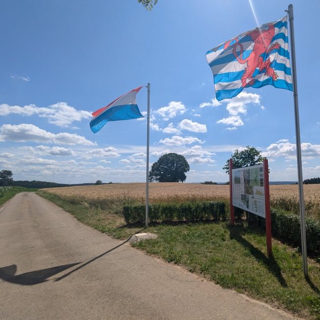 kneiff-cima